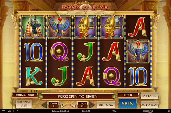 Playzee Book of Dead - Play'n GO slot