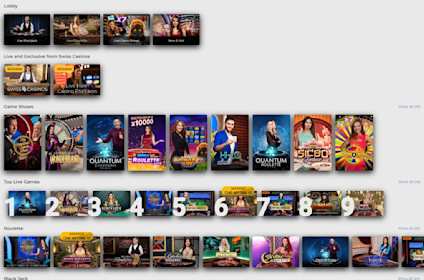 Swiss Casinos Screenshot 2