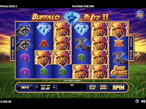 Buffalo Blitz II Screenshot 1
