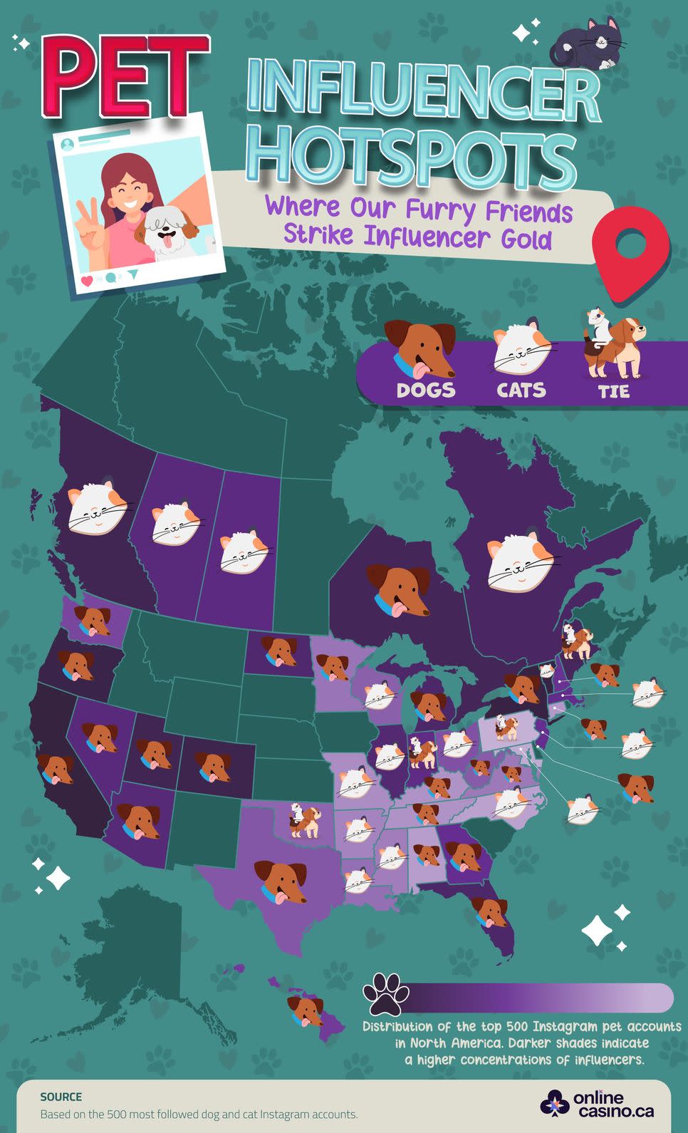 Paws and Claws of Fame: The Luckiest States and Provinces for Pet Influencer Stardom