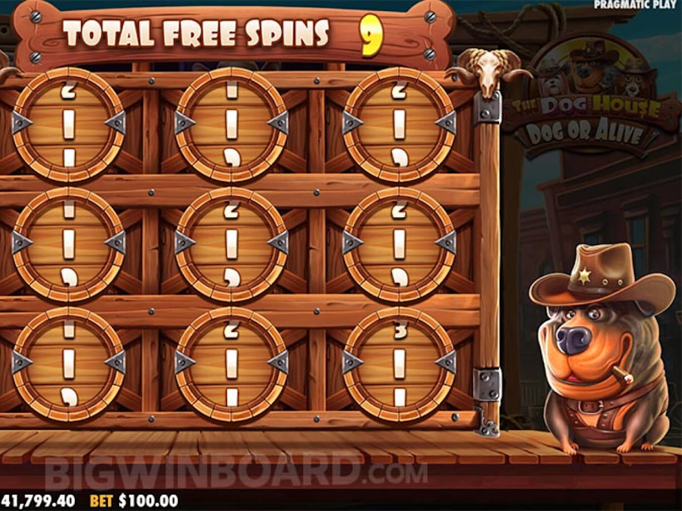 The Dog House Screenshot 5