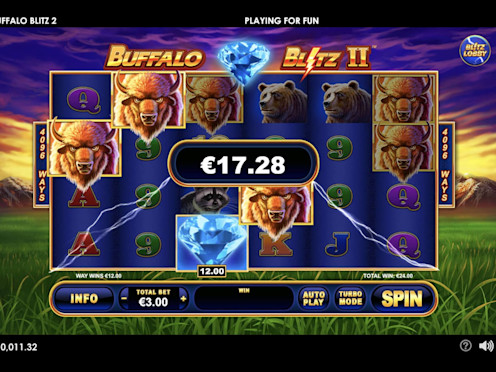 Buffalo Blitz II Screenshot 3