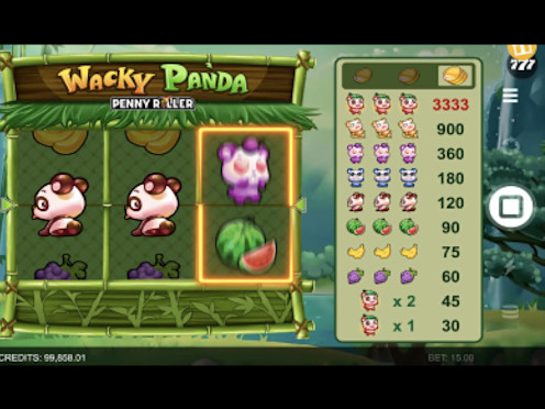 Wacky Panda Screenshot 2