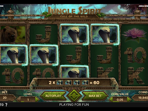 Jungle Spirit: Call of the Wild Screenshot 5