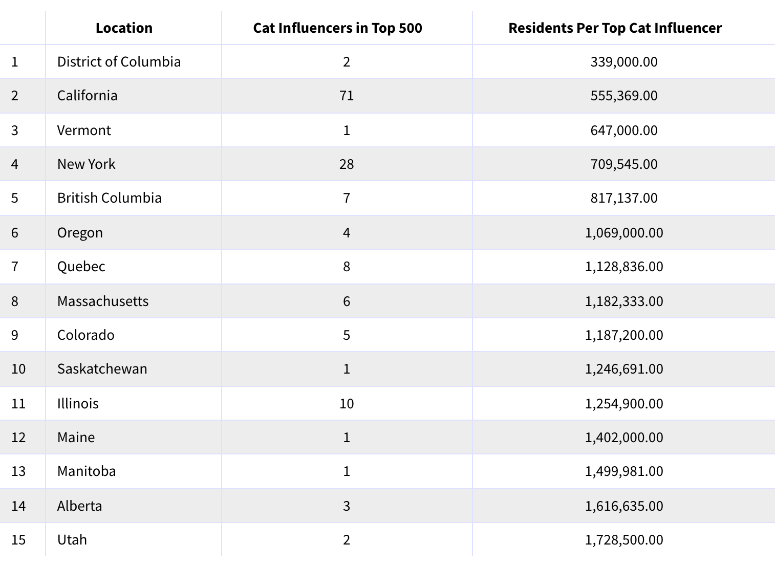 The Purr-fect Places for Cat Stardom