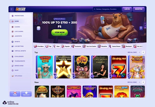 Spinbara Casino sreenshot 1