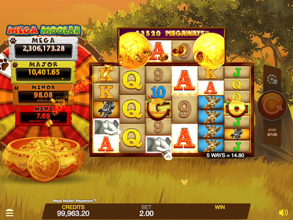 Mega Moolah Screenshot 5