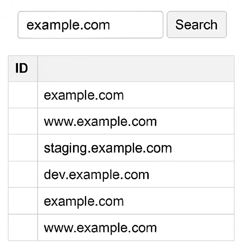Search results table UI showing filtered domain records for “example.com”.
