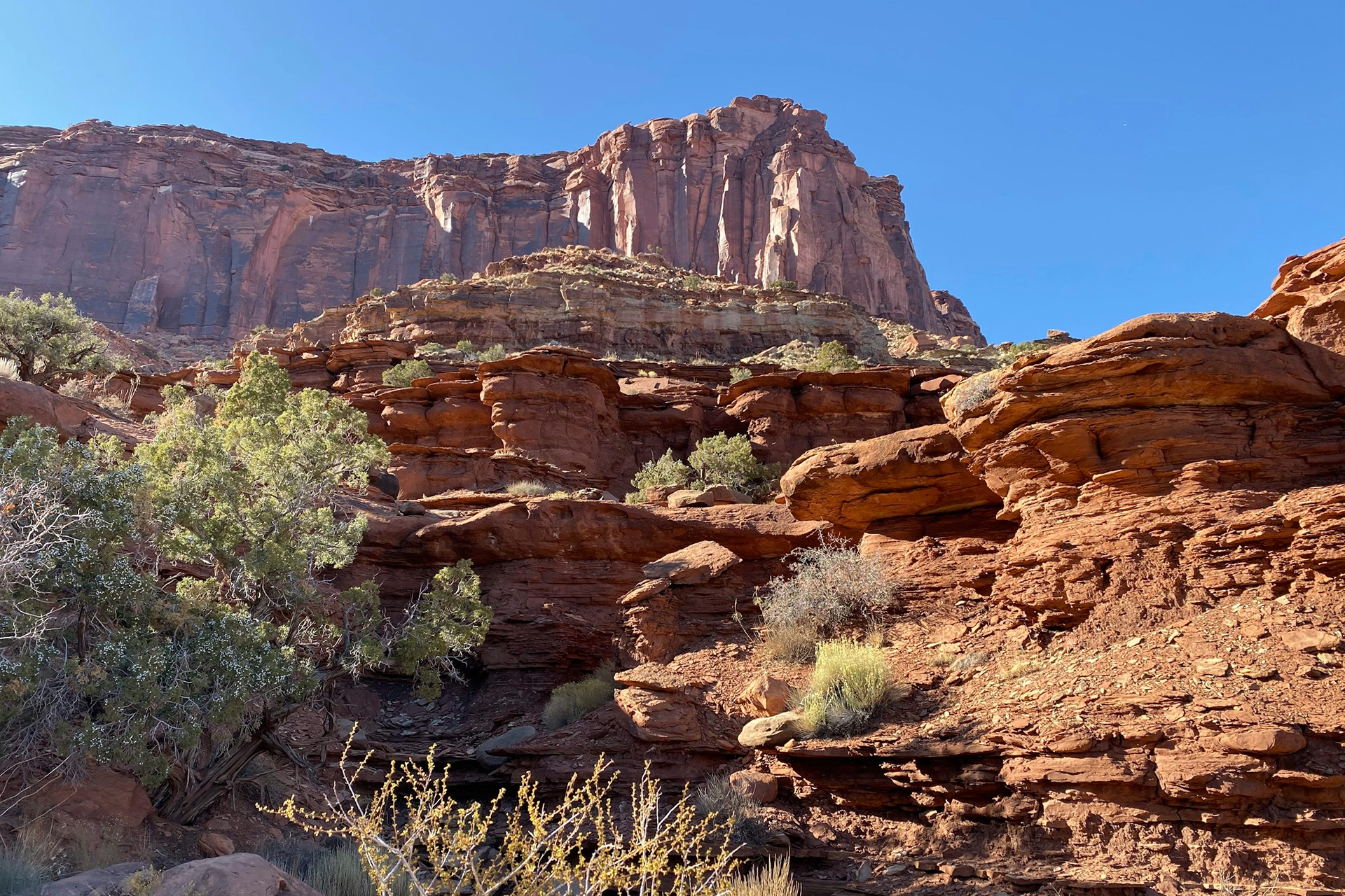 Earning Your Stripes on Poison Spider Mesa: Moab's Expert Jeep Challenge