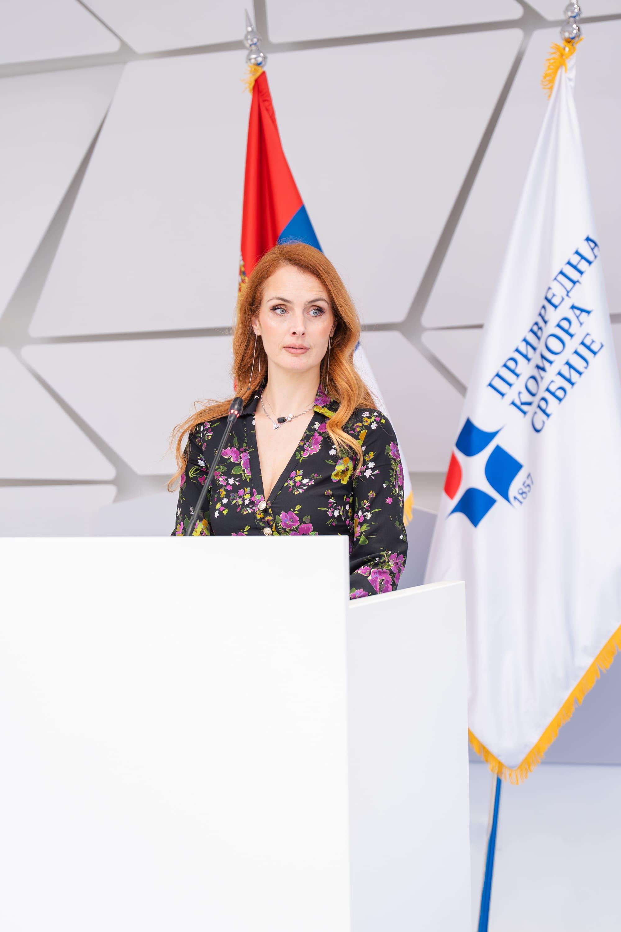 Faktoring – finansijski instrumenti i ulaganje u energetsku tranziciju