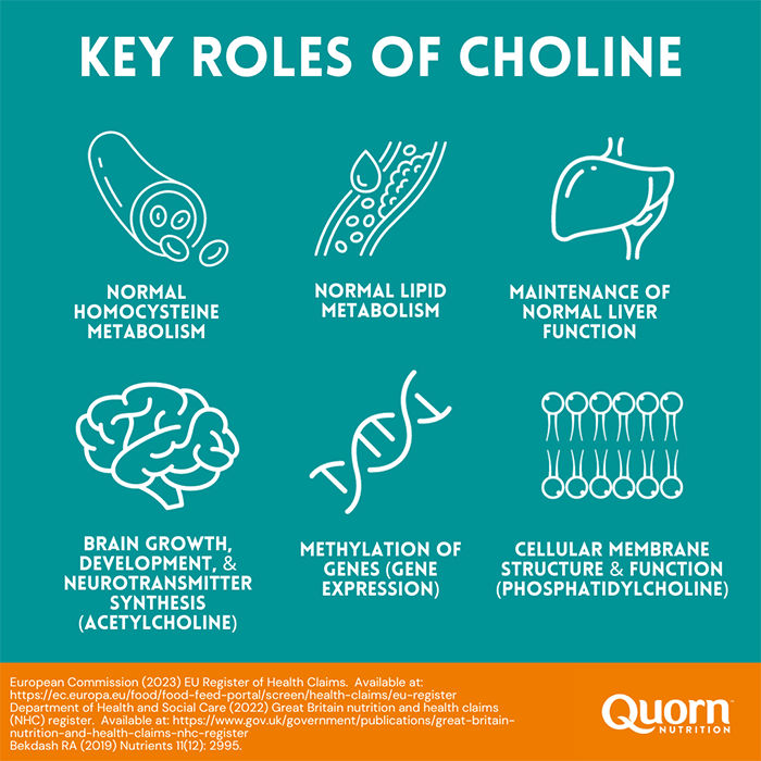 roles of choline updated logo 700x700