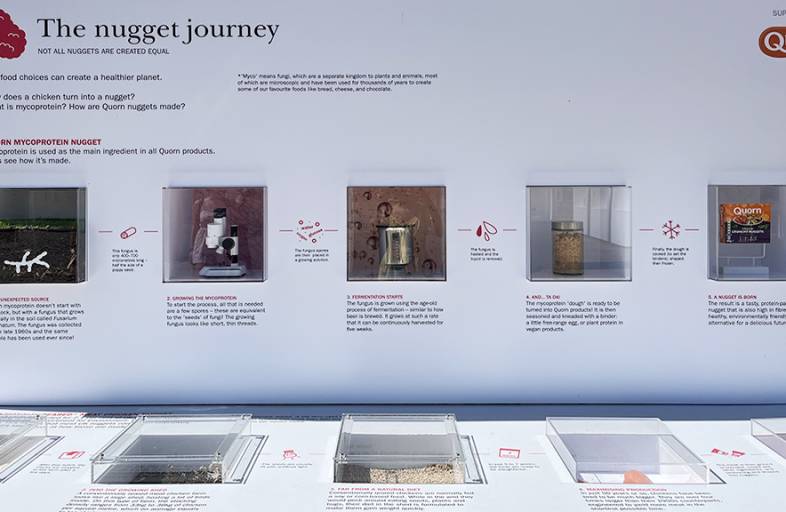 A display of the nugget journey.