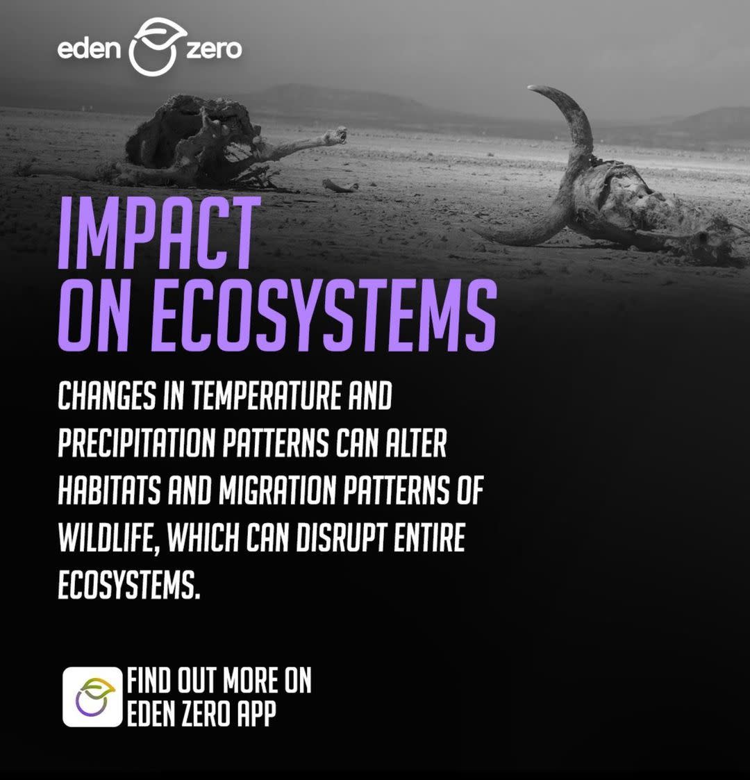 65d2126181d76eb4337187ec WhatsApp Image 2024-02-18 at 15.19.38-p-1080