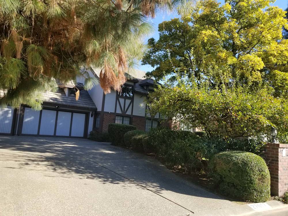 Full House Remodel