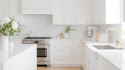 Discover the Beauty of Full Overlay Cabinets