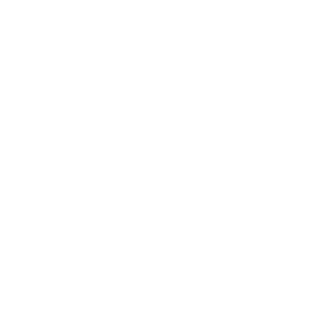 Facebook logo, white.