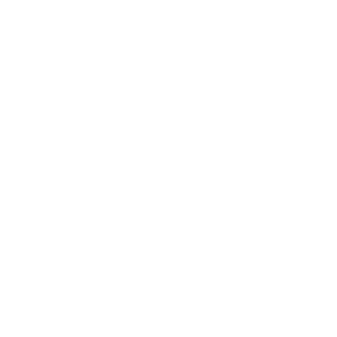 LinkedIn logo, white.