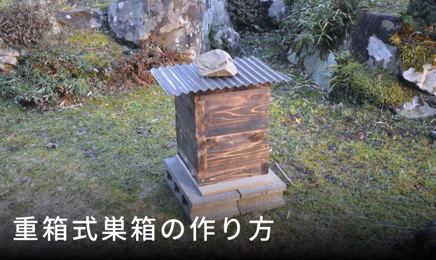 ニホンミツバチの重箱式巣箱の作り方 捕獲できたら屋根や台を追加しよう