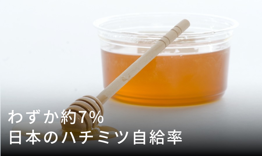 ニホンミツバチのはちみつの価格の相場は？お得な価格で販売 ...