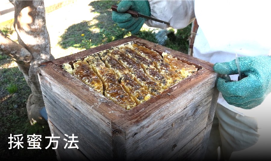 蜂蜜搾り機／養蜂