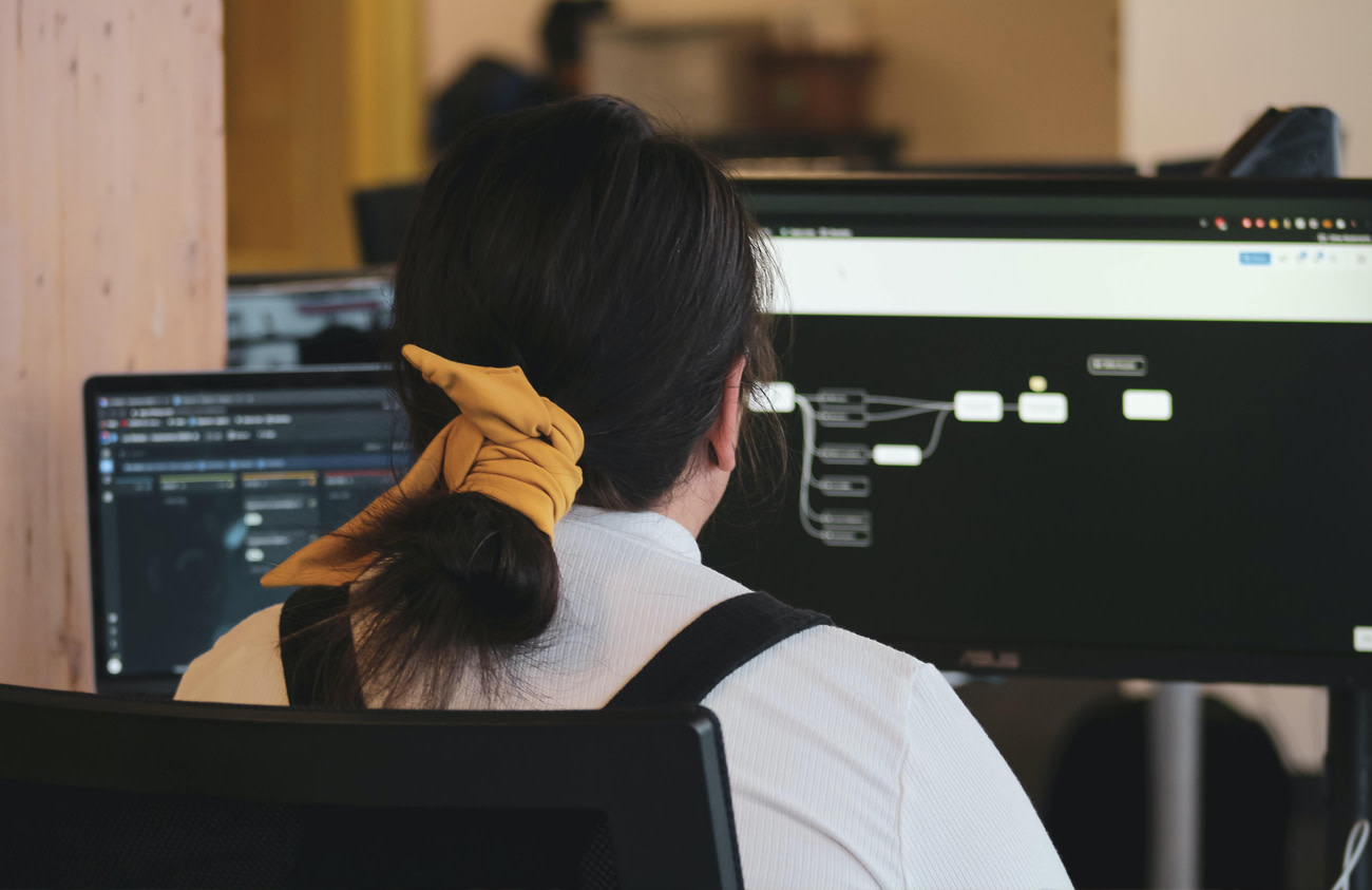 Person viewed from behind sitting in front of computer screen.