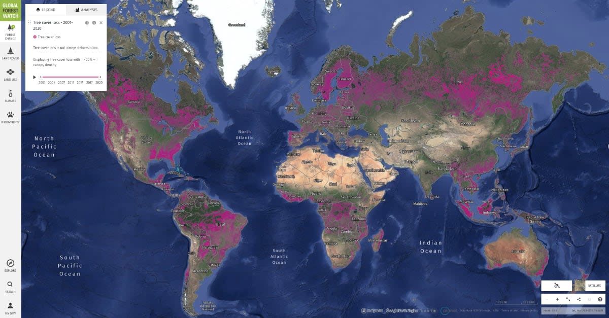 Global Forest Watch interactive map depicting global tree cover loss from 2001 to 2020.