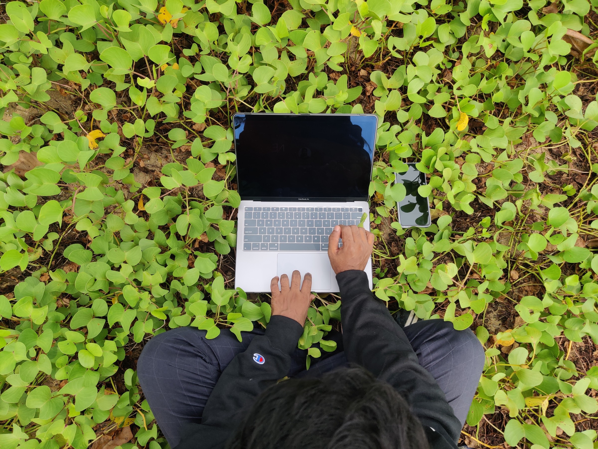 Author Liyas working on his laptop in a field of greenery