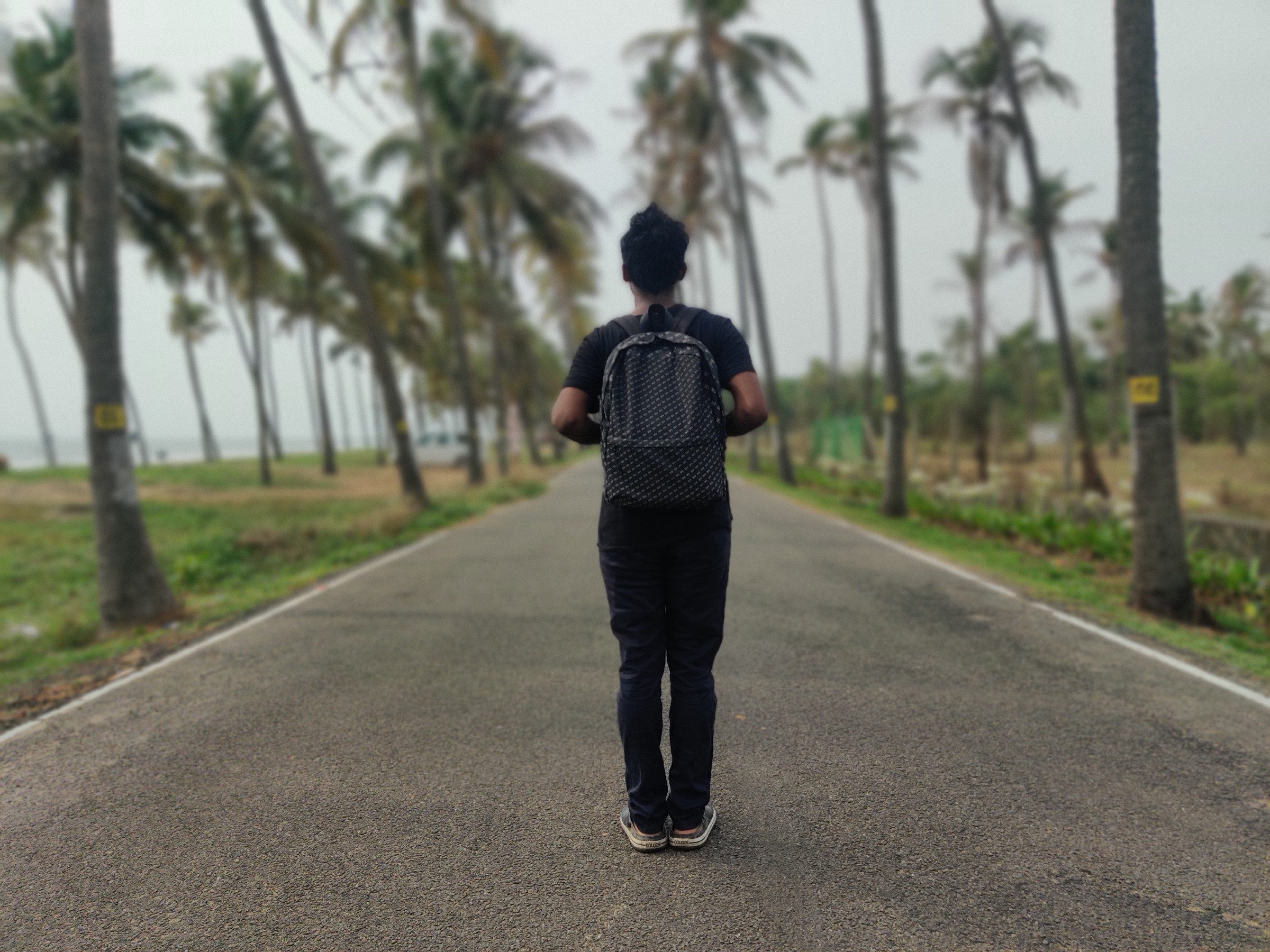 Author Liyas walking away down a palm tree–lined path