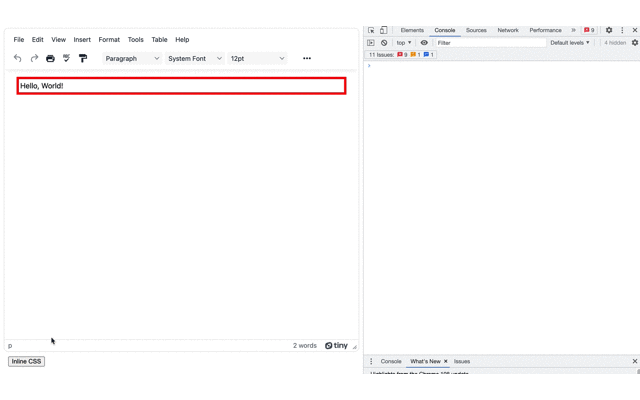 The inline CSS visible in the developer console when inspecting the elements