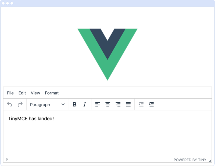 Browser window with TinyMCE running inside the Vue app