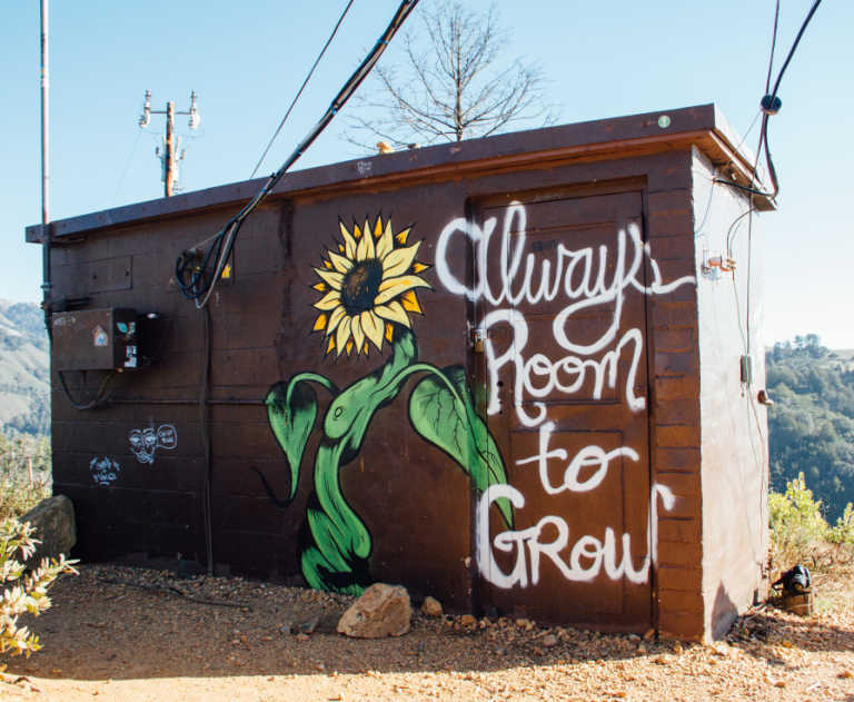 Small brick building on a hill with a sunflower mural painting and the words “always room to grow”.