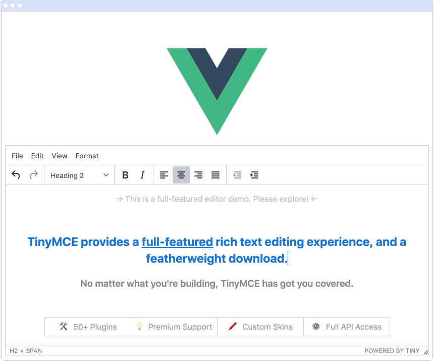 How To Add Tiny S Wysiwyg Html Editor To A Vue Project