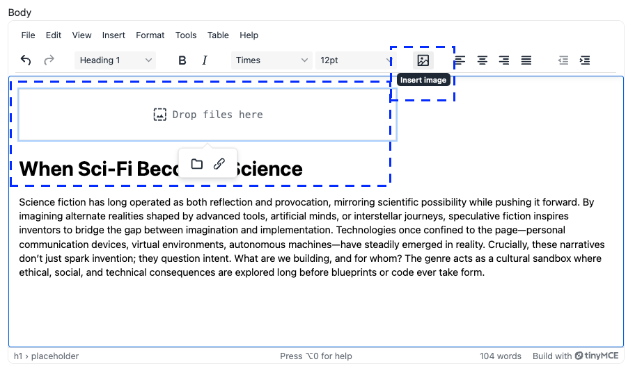 A screenshot of TinyMCE with the image upload feature Image Optimizer