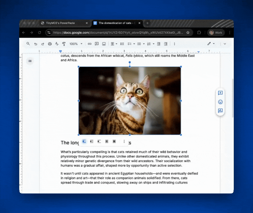 A GIF of PowerPaste in action: A user copies content from a Google Doc and cleanly pastes it into TinyMCE.