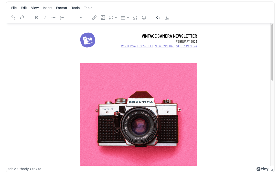 A document template entirely within TinyMCE