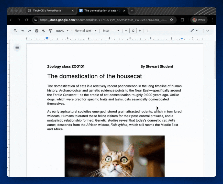 A GIF of a user pasting an image from Google Docs to TinyMCE