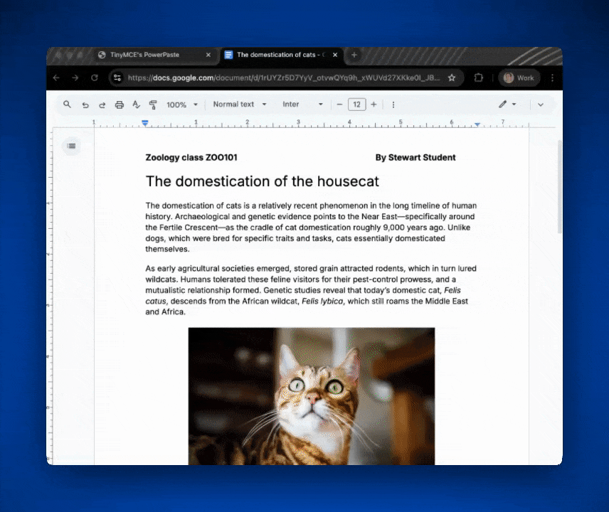 A GIF of a user pasting a table from Google Docs to TinyMCE