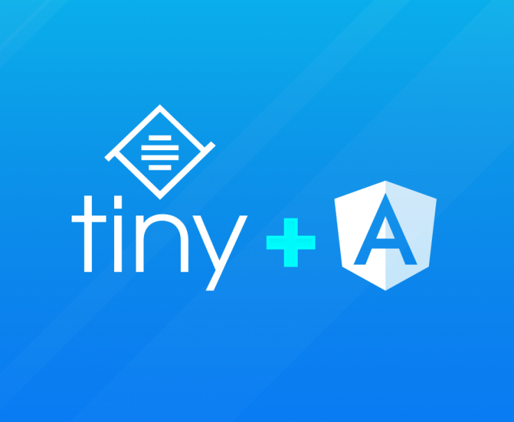 Visual depiction of Tiny and Angular integration