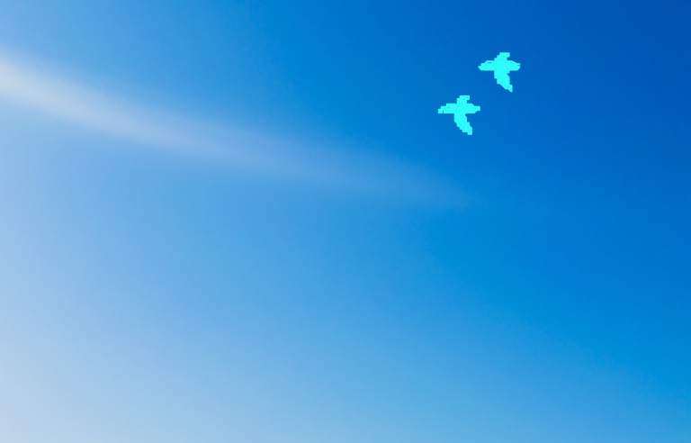 A clear and open sky with two birds flying across it. by Thaynara Pellerin
