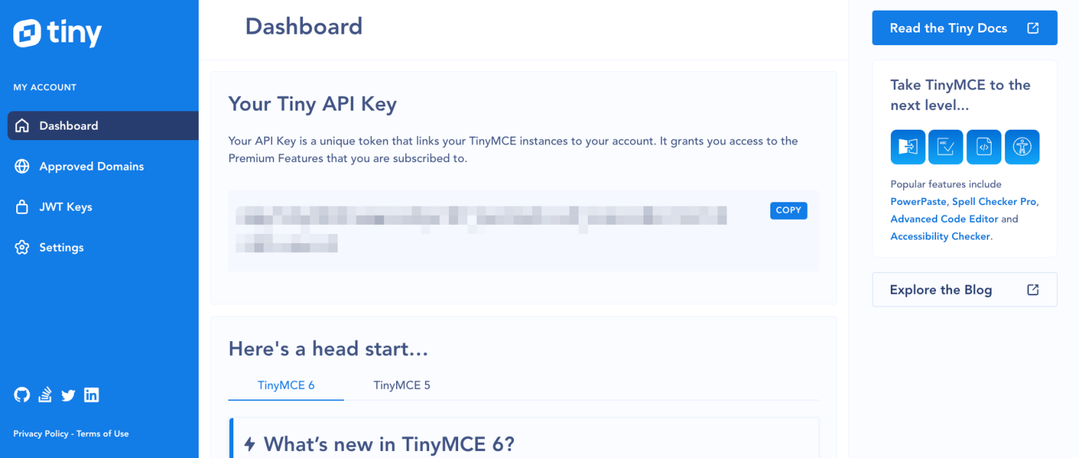 TinyMCE dashboard showing the API key