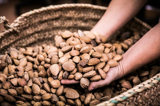 Pflanzlich kommt weiter