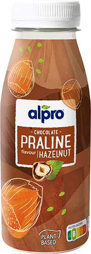 Chocolat Praliné Noisette