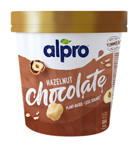 Hazelnut Chocolate Ice Cream