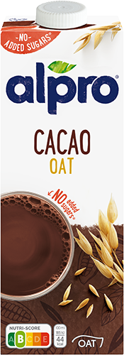 Chocolat sans sucres ajoutés