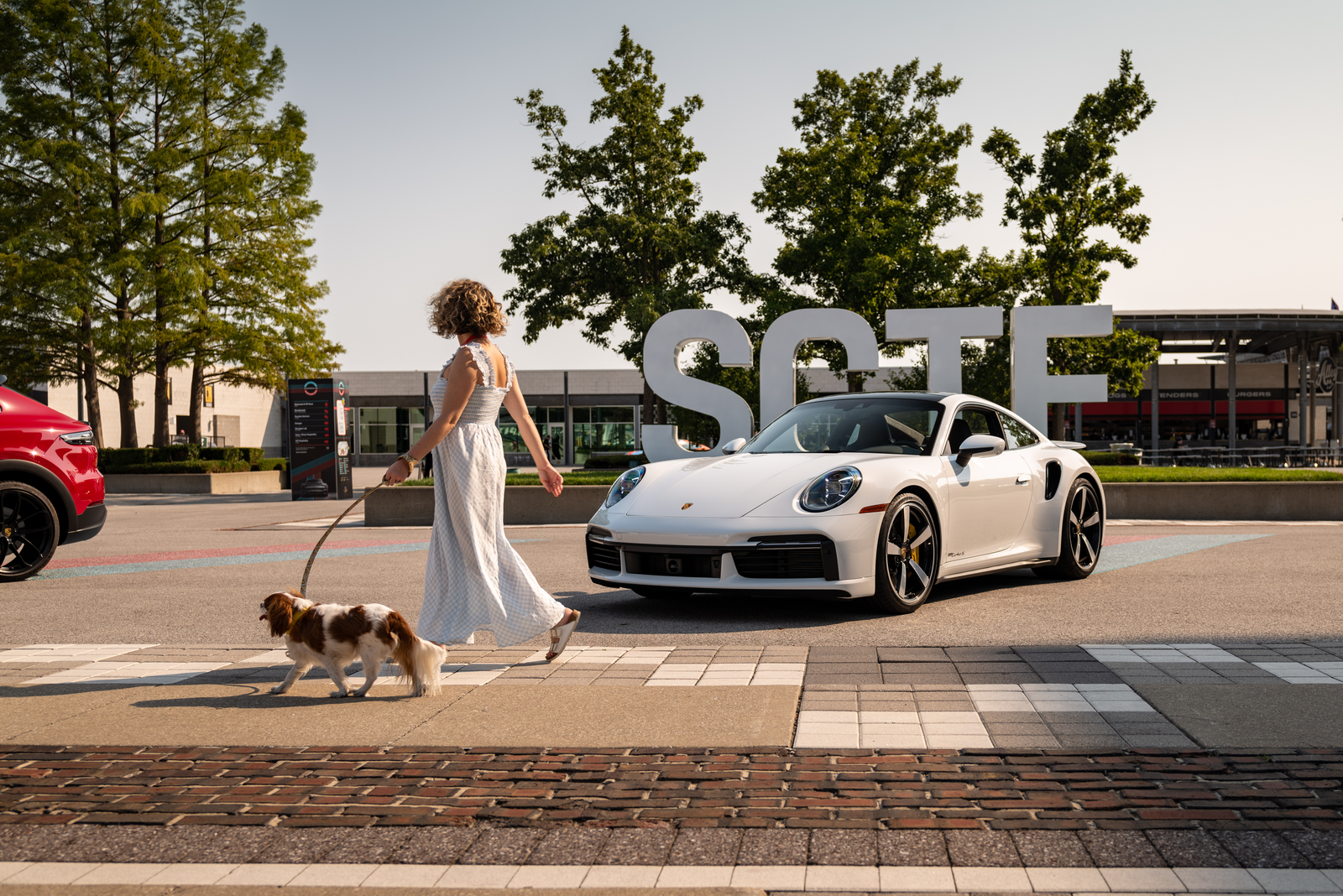 Woman and spaniel walk past Porsche 911 at show