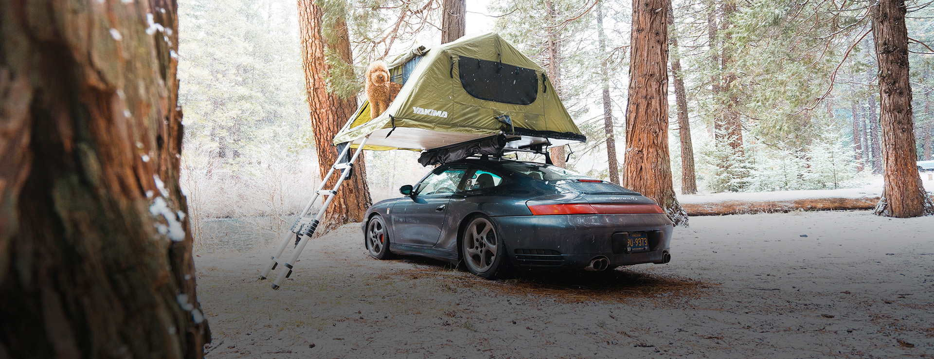 Porsche parked in woods with tent on roof, dog inside