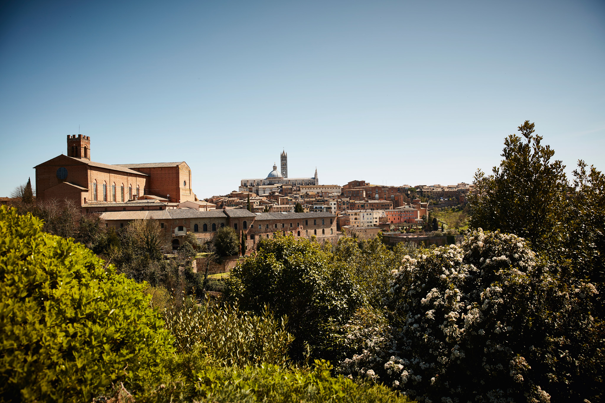 View of the cathedral of Siena