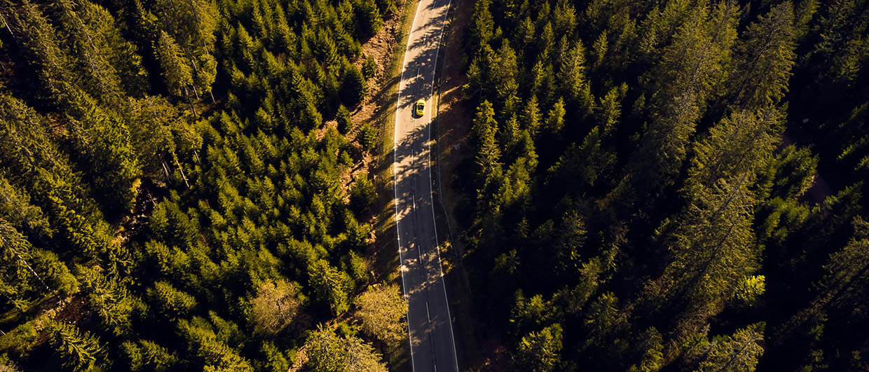 Car drives on the road through forest from bird's eye view