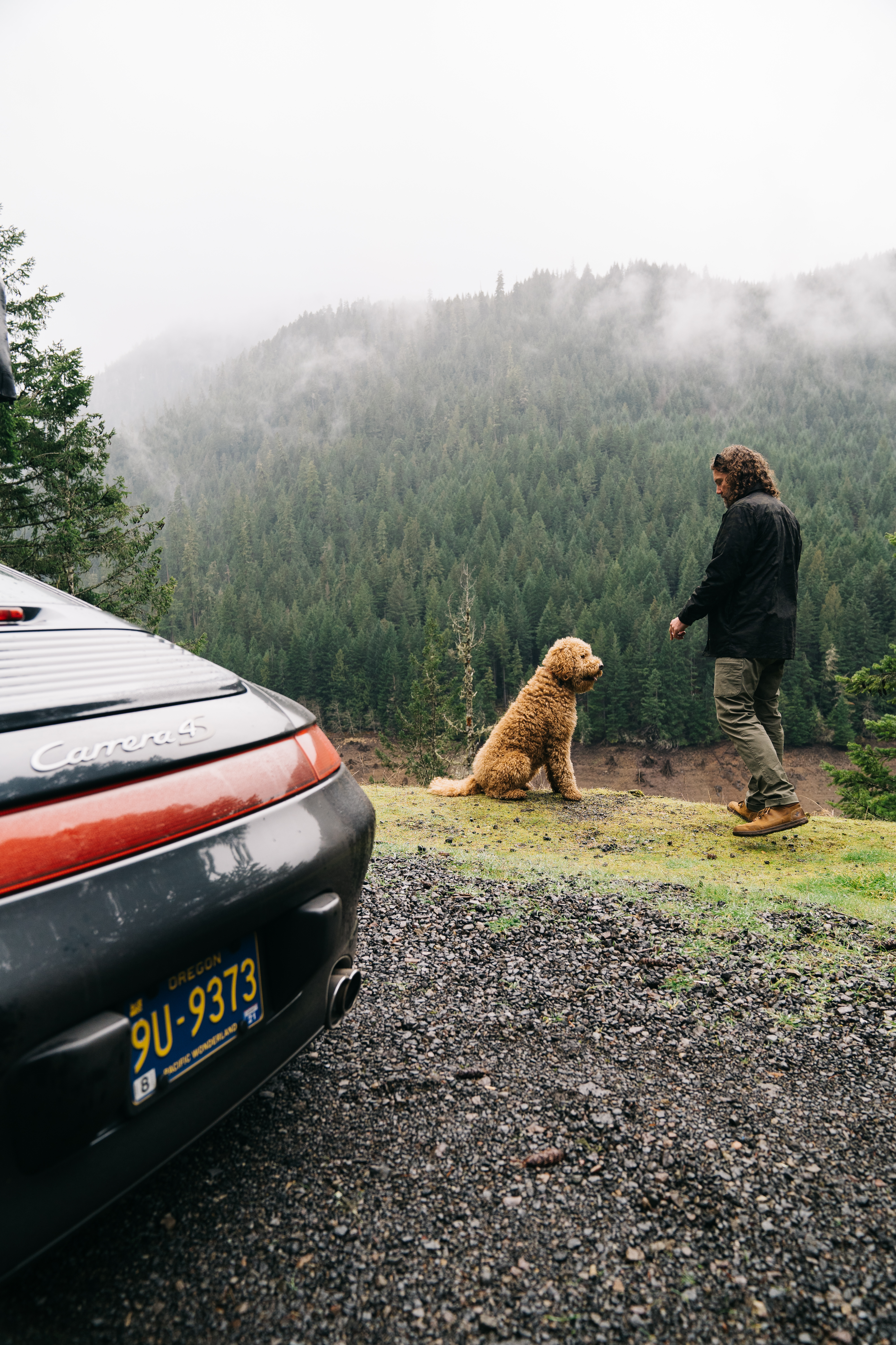 Man and dog beside a forest, Porsche 911 in foreground