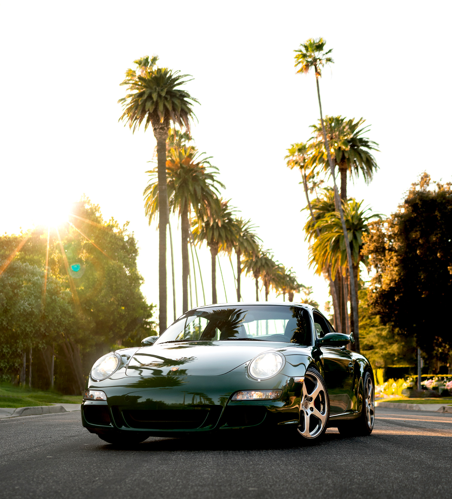 Dark green Porsche 911 (type 997.1) with palm trees behind